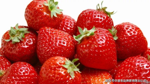 食品品牌營銷策劃公司 以消費者洞察為核心，驅動品牌價值增長