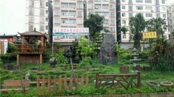 聚焦南寧園林景觀建設 如何甄選專業正規的假山施工公司